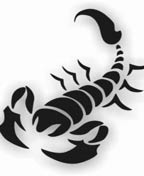 Skorpion